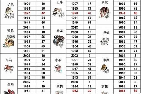 2002五行属什么|2002年出生是什么命运势如何？什么五行？